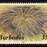 Barbados SG800B