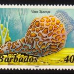 Barbados SG801B