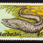 Barbados SG802B