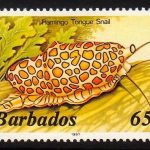 Barbados SG804B