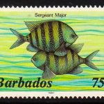 Barbados SG805B