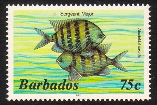 Barbados SG805B