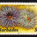 Barbados SG806B