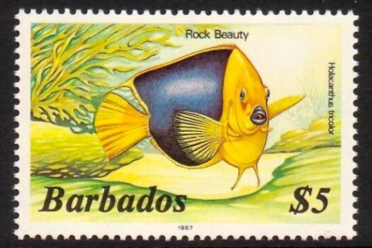 Barbados SG808B