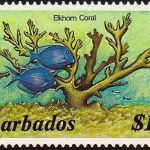 Barbados SG809A