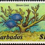 Barbados SG809A