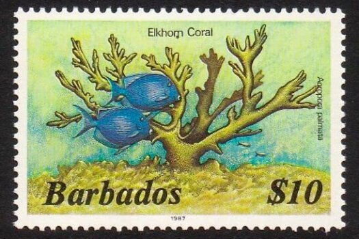 Barbados SG809B