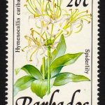 Barbados SG893