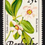 Barbados SG894