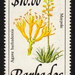 Barbados SG905