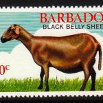 Barbados SG694