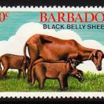 Barbados SG695
